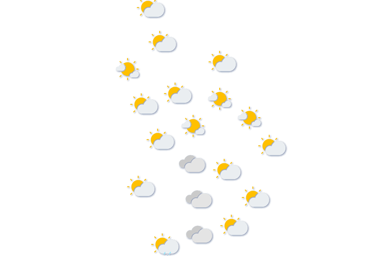 Forecast