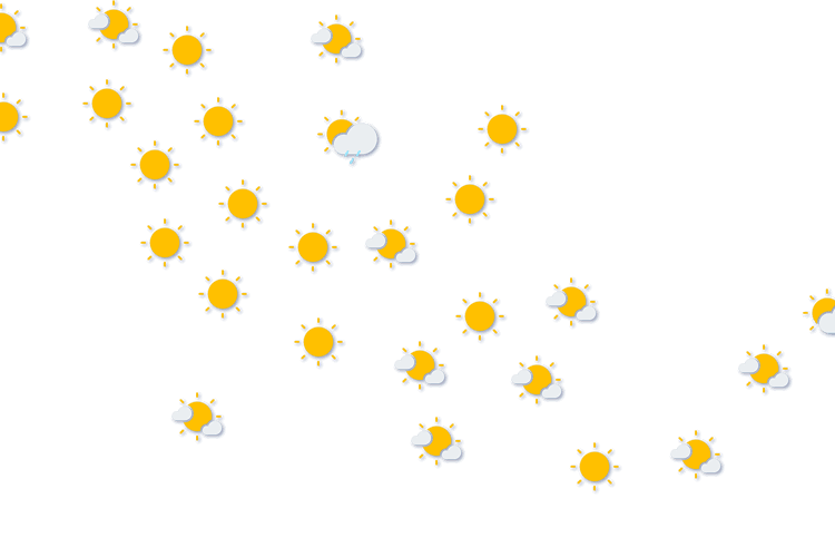 Forecast