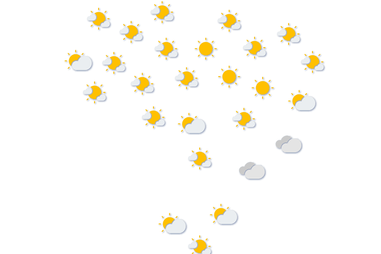 Forecast