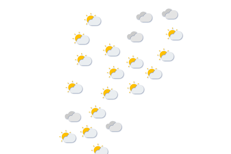 Forecast