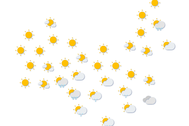 Forecast