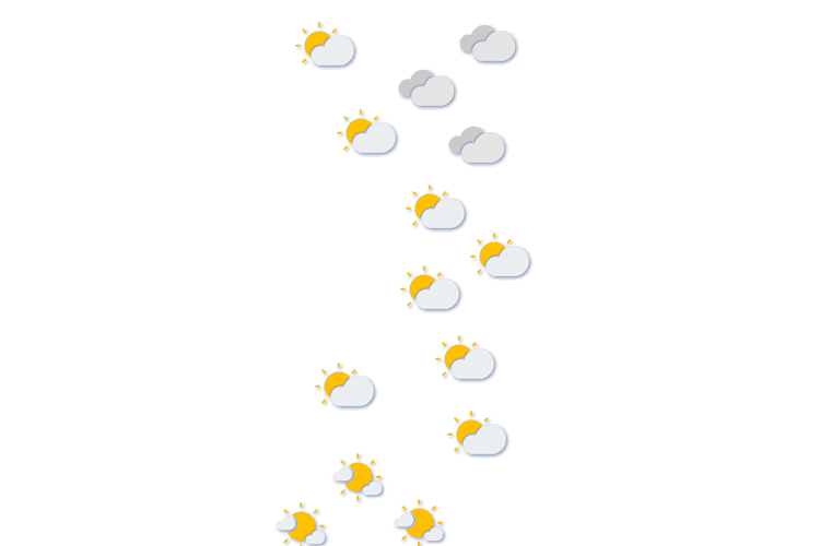 Forecast