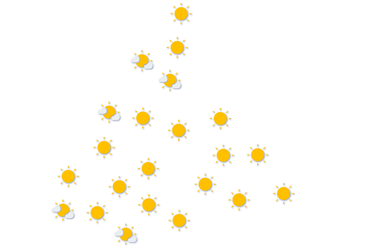 Forecast