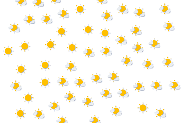 Forecast