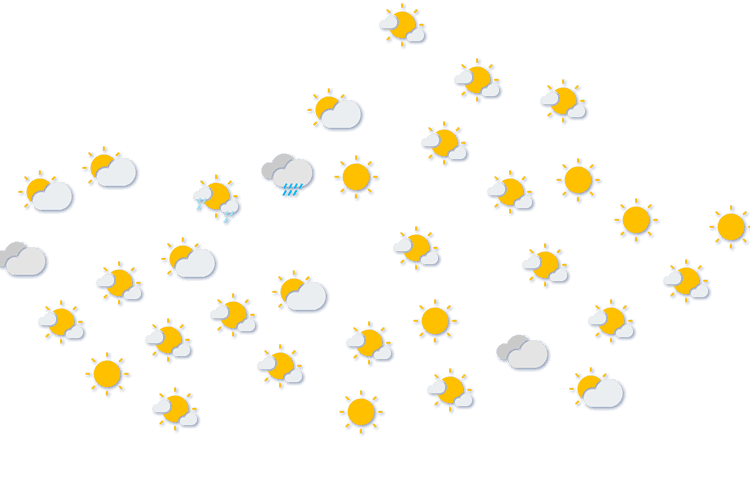 Forecast