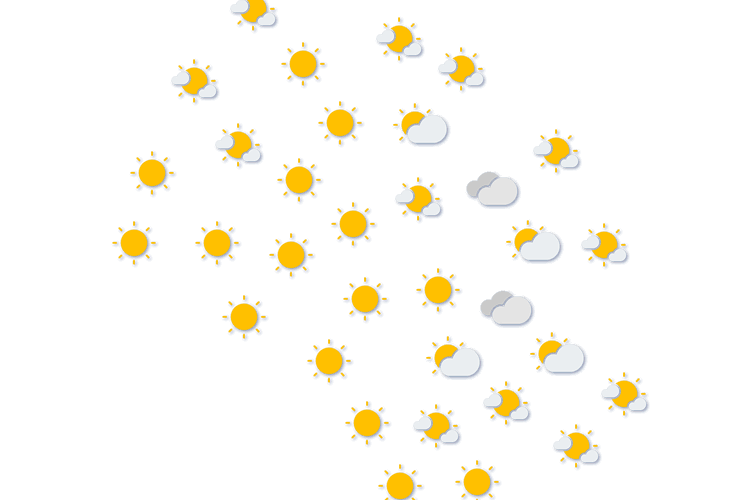 Forecast