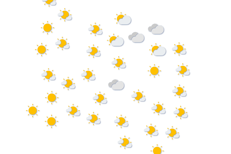 Forecast