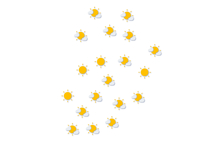 Forecast