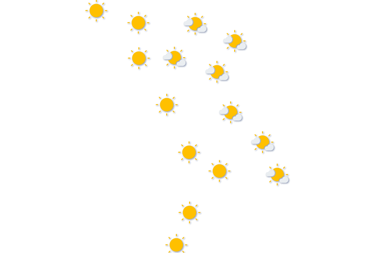 Forecast