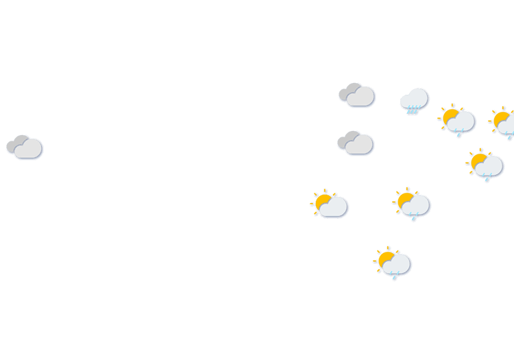 Forecast