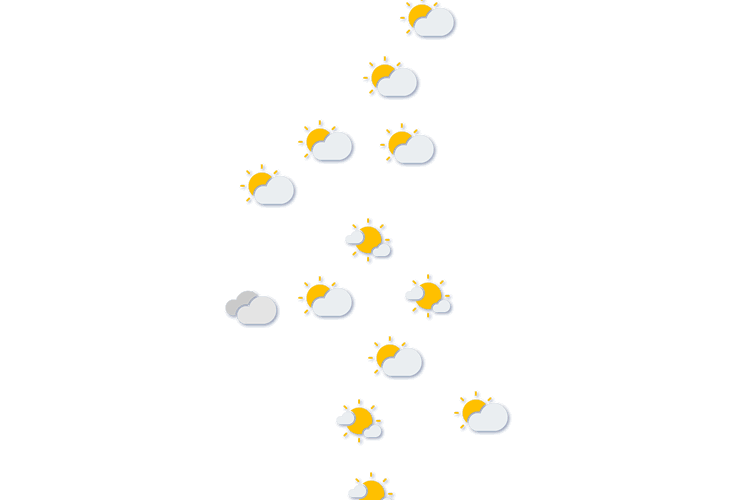 Forecast