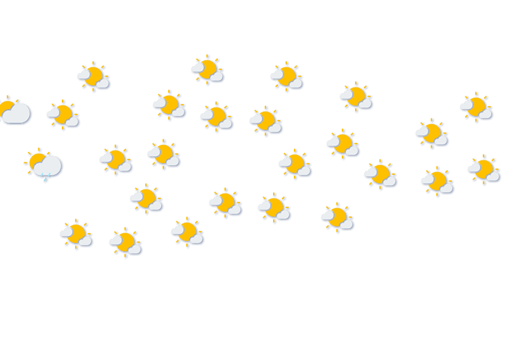 Forecast