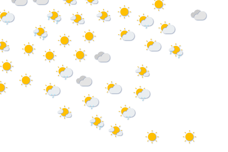 Forecast