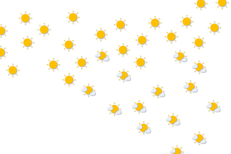 Forecast