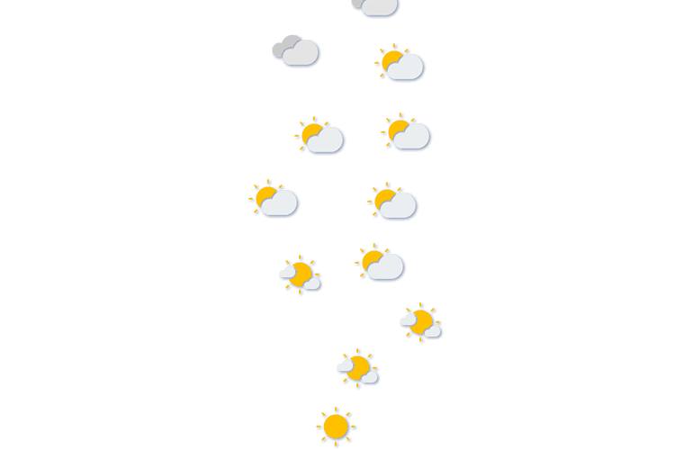 Forecast