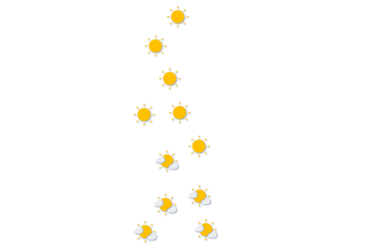 Forecast