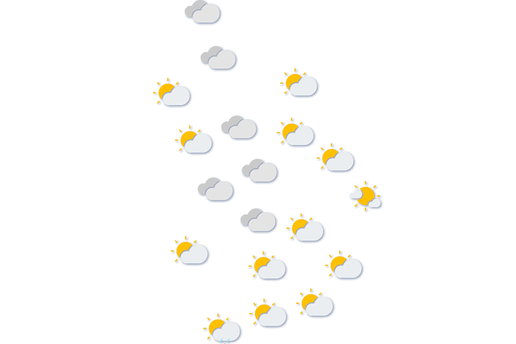 Forecast