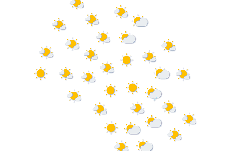 Forecast