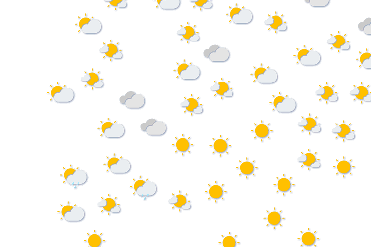 Forecast