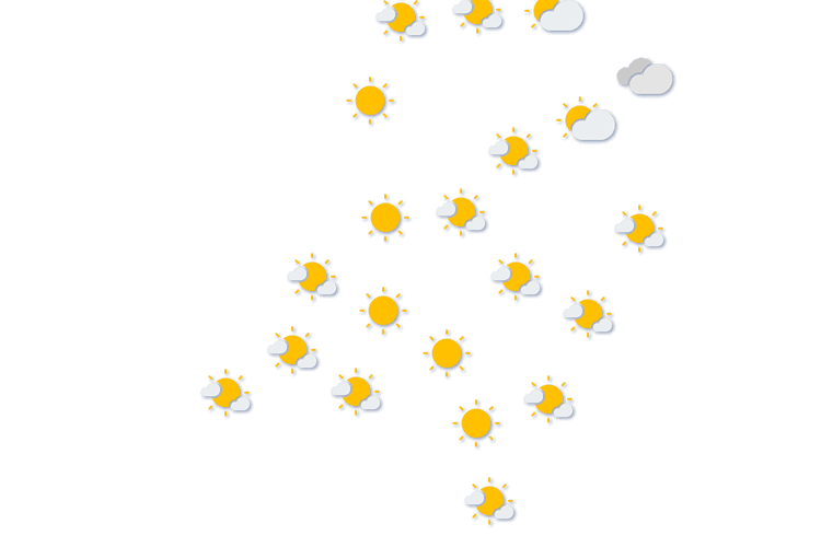 Forecast
