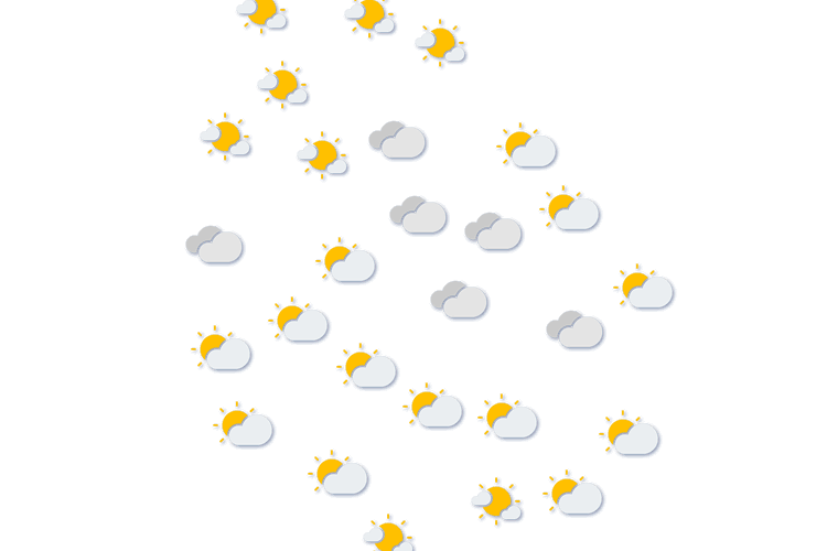 Forecast