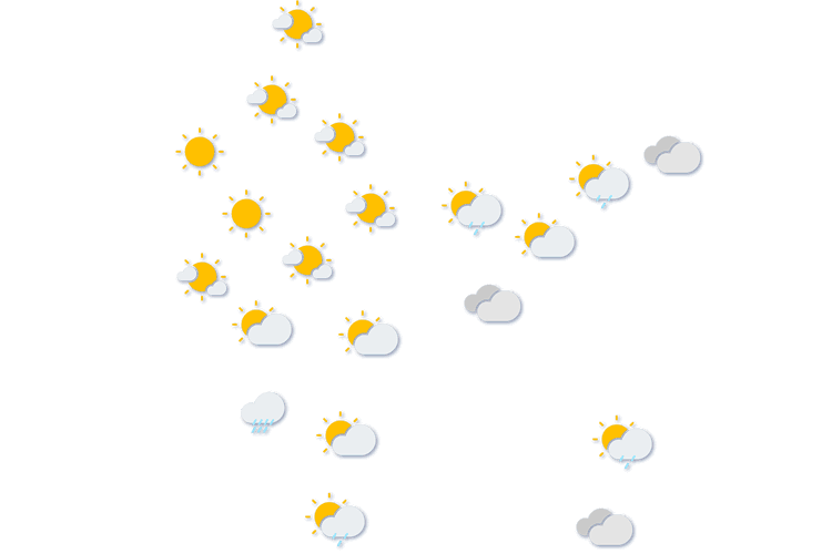 Forecast