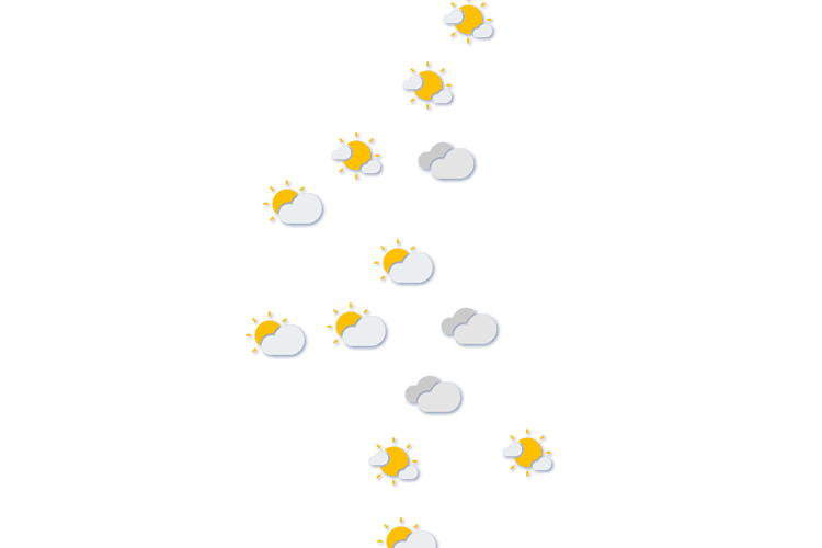 Forecast
