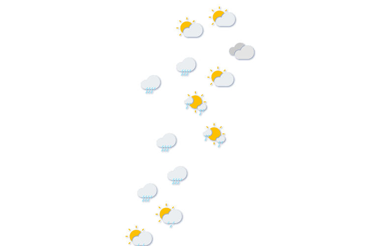 Forecast