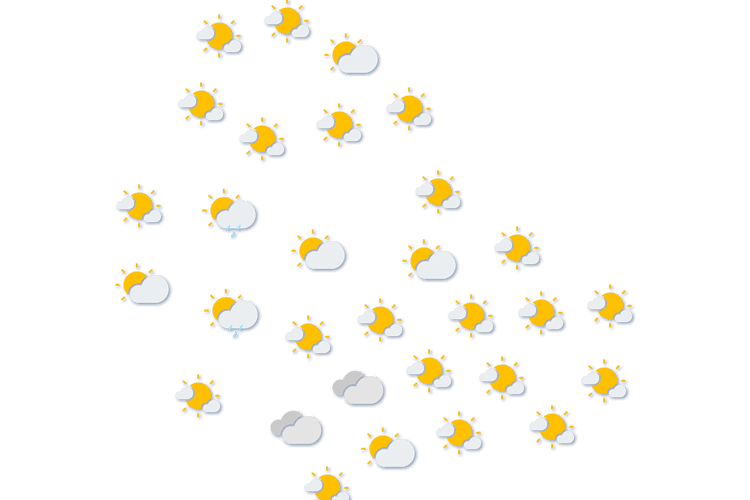 Forecast