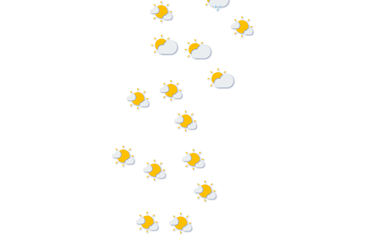 Forecast