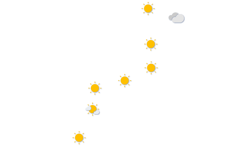 Forecast