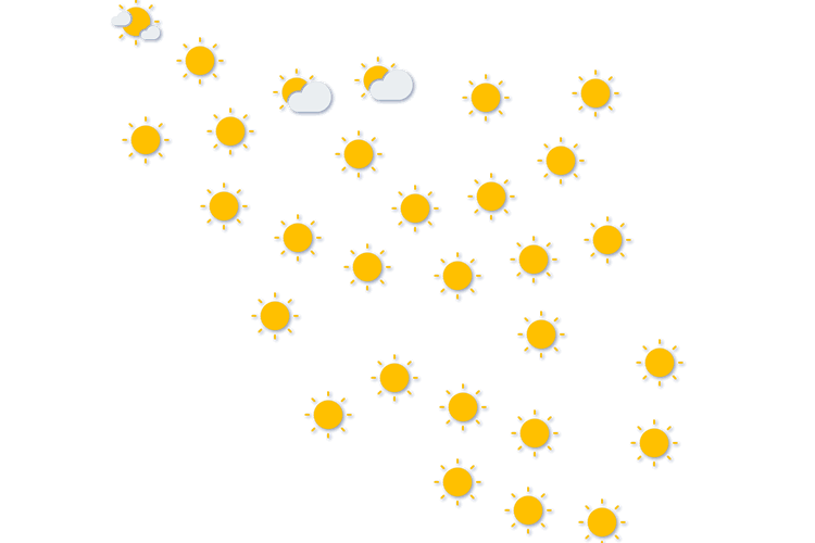 Forecast