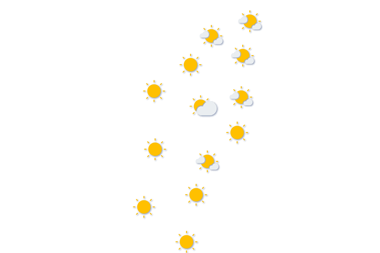 Forecast