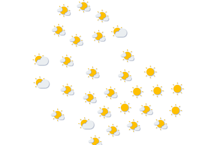 Forecast