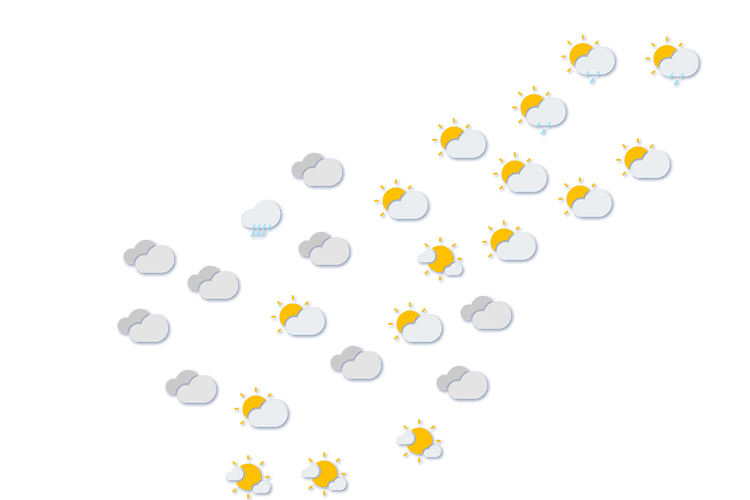 Forecast