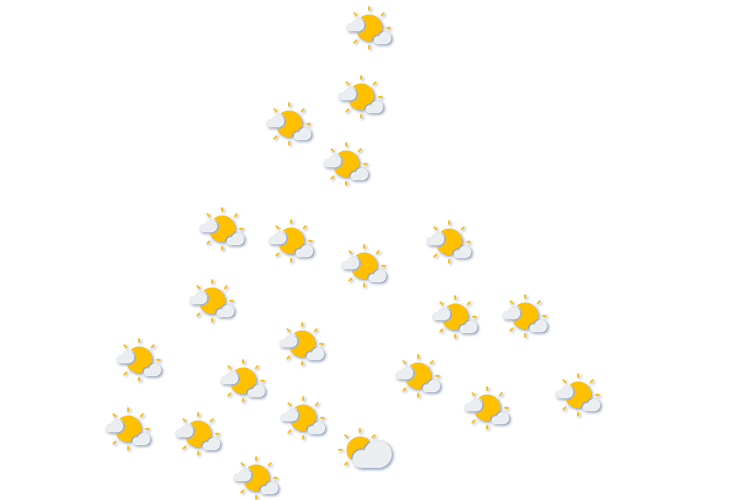 Forecast