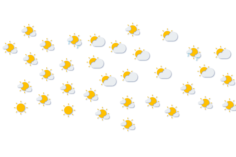 Forecast