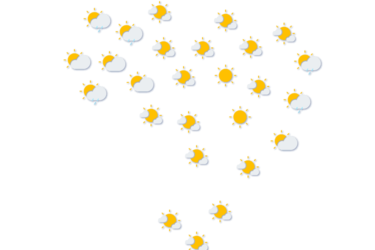 Forecast
