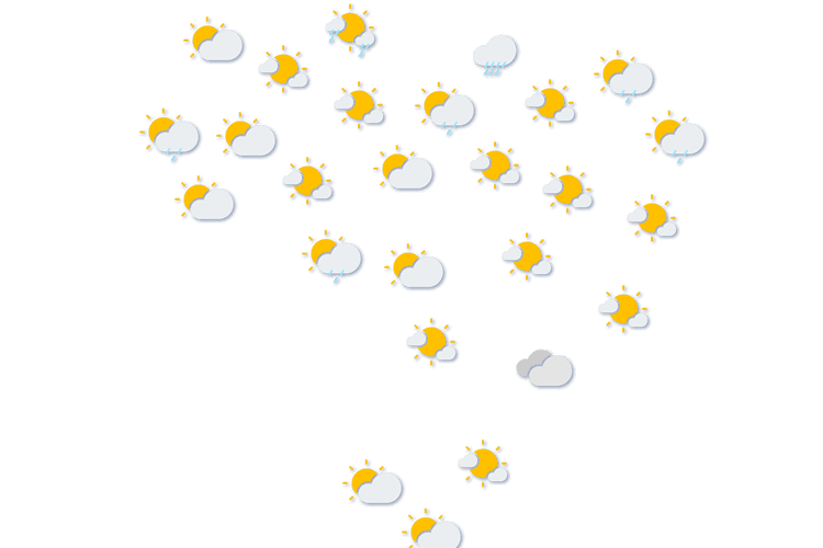 Forecast