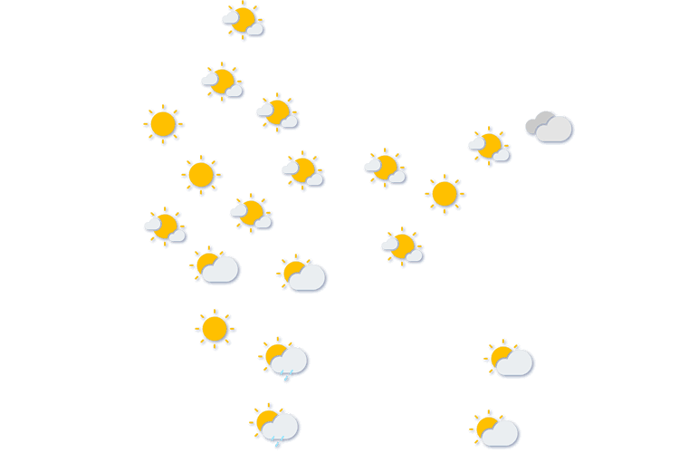 Forecast