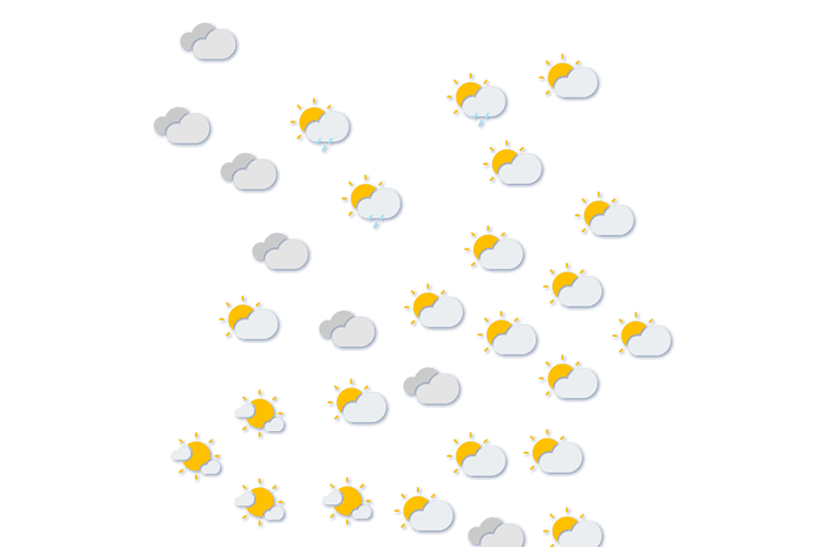 Forecast