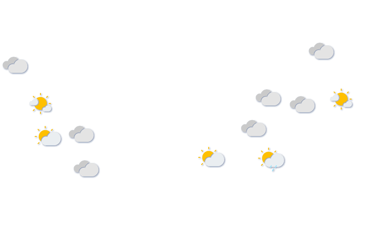 Forecast