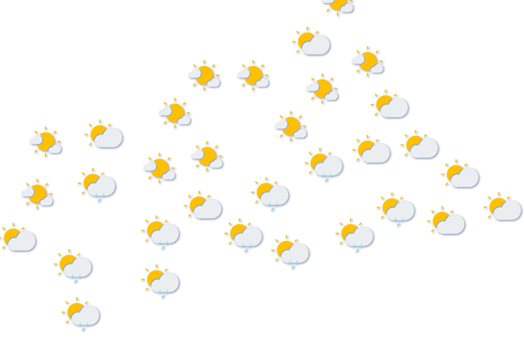 Forecast