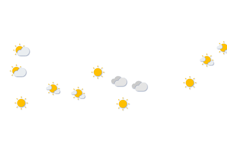 Forecast