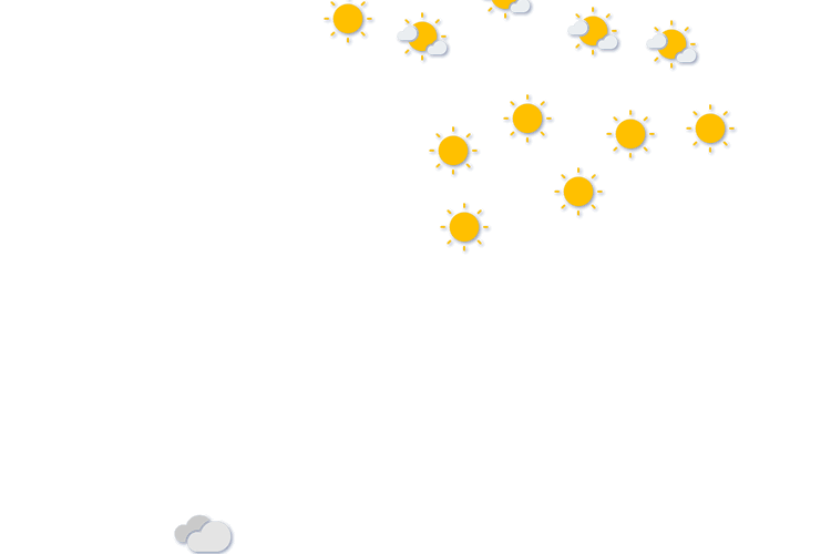 Forecast