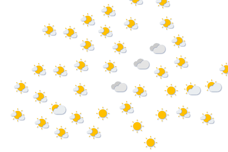 Forecast