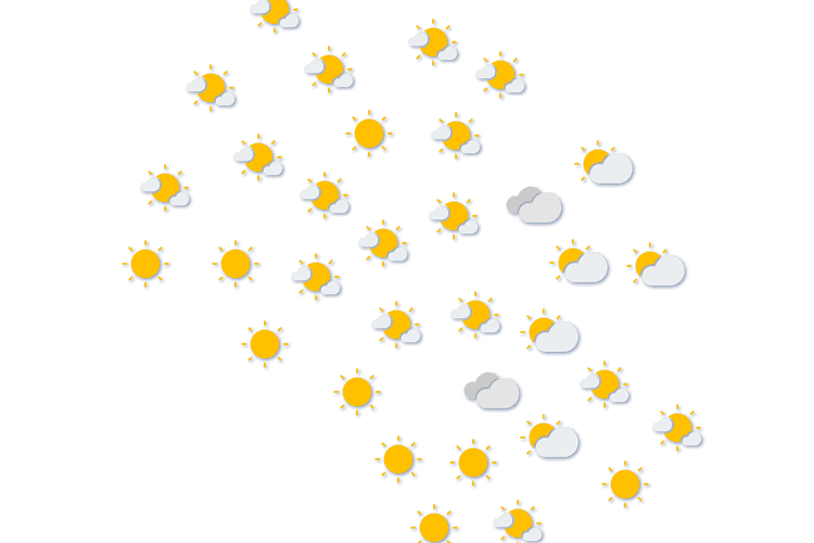 Forecast
