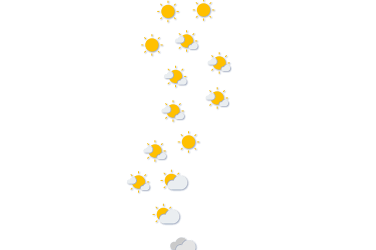 Forecast