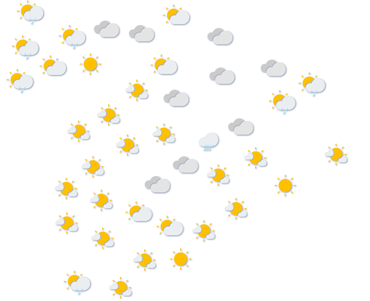 Forecast