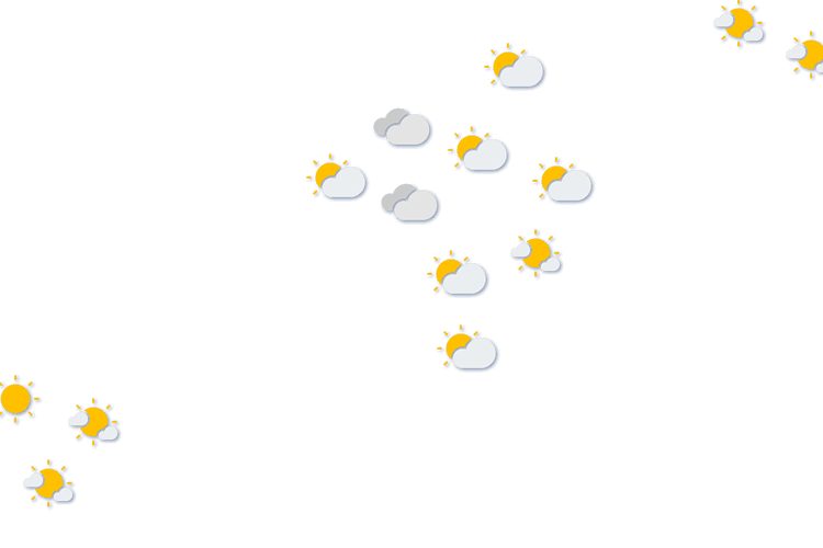 Forecast
